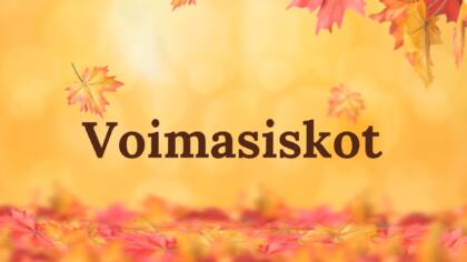 Punertavia vaahteranlehtiä putoilee lehtien peittämään maahan.