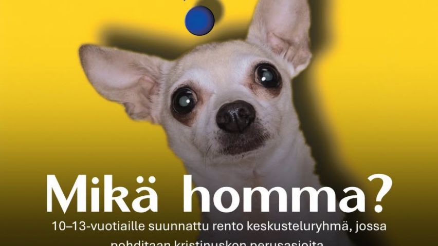 Tapahtumamainos. Hassu Chihuahua koira näyttää hämmästyneeltä.